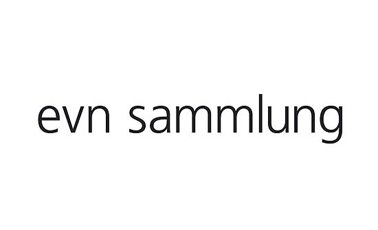 009_evn_logo_03.jpg